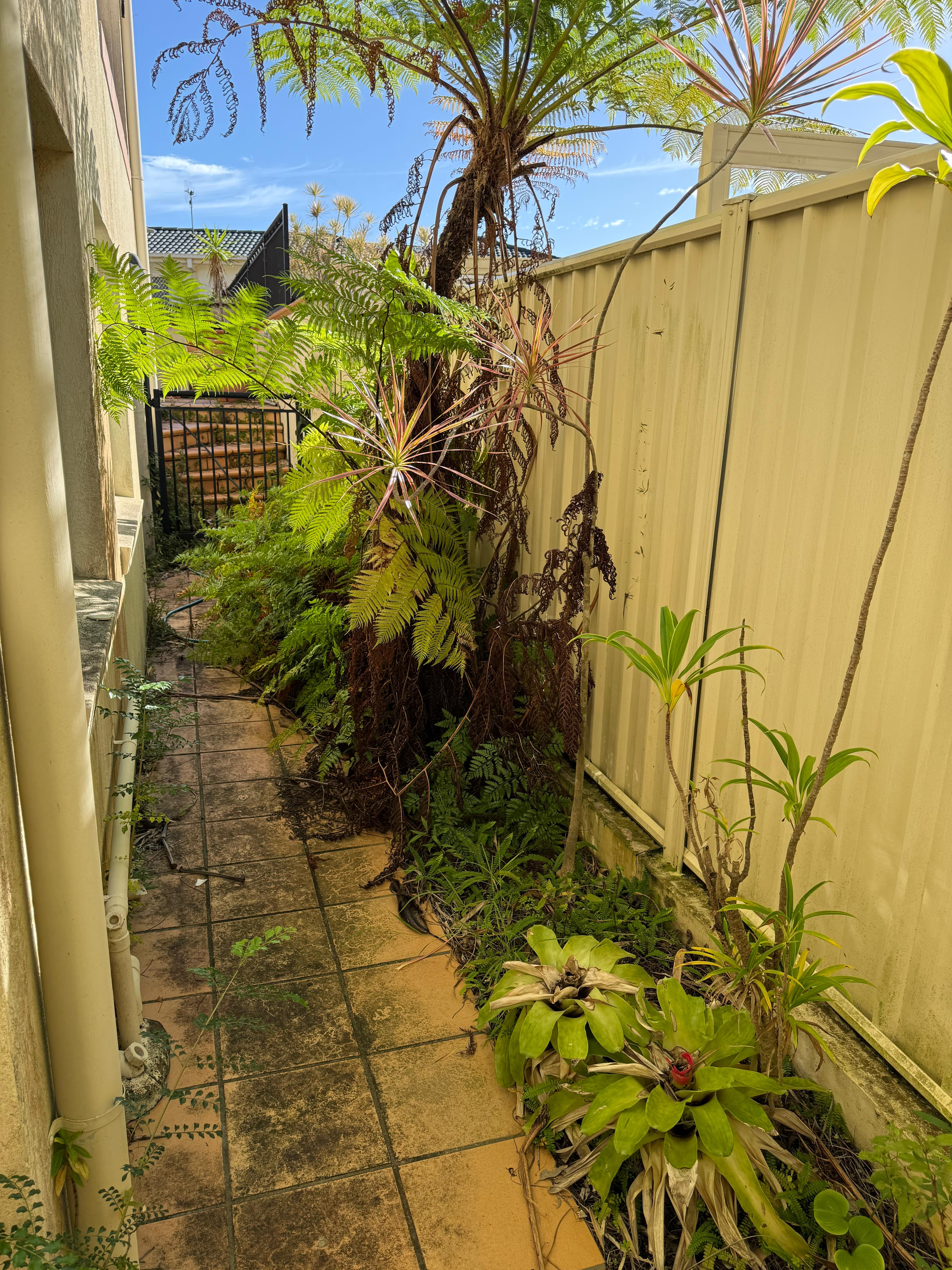 Pressure washing Arundel
