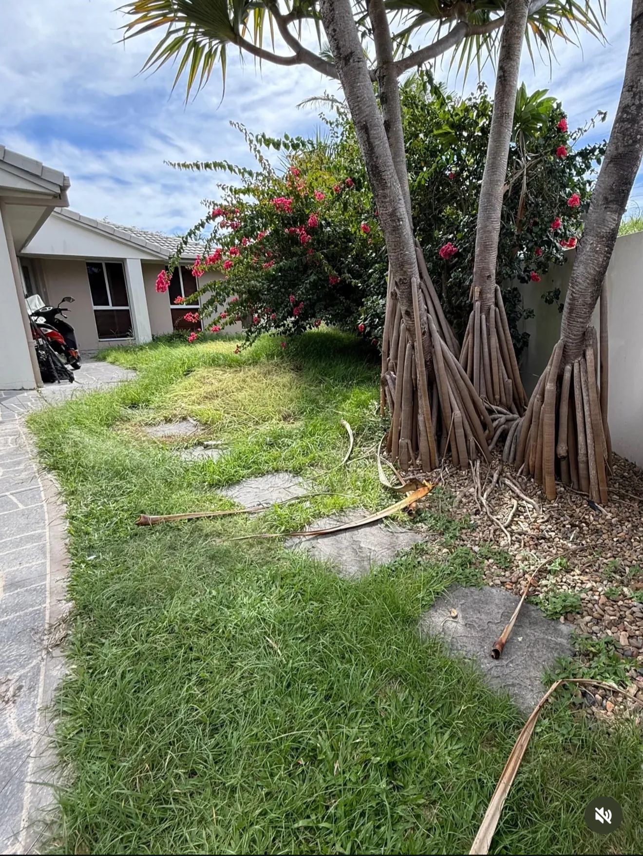 Gardening Maintenance Arundel