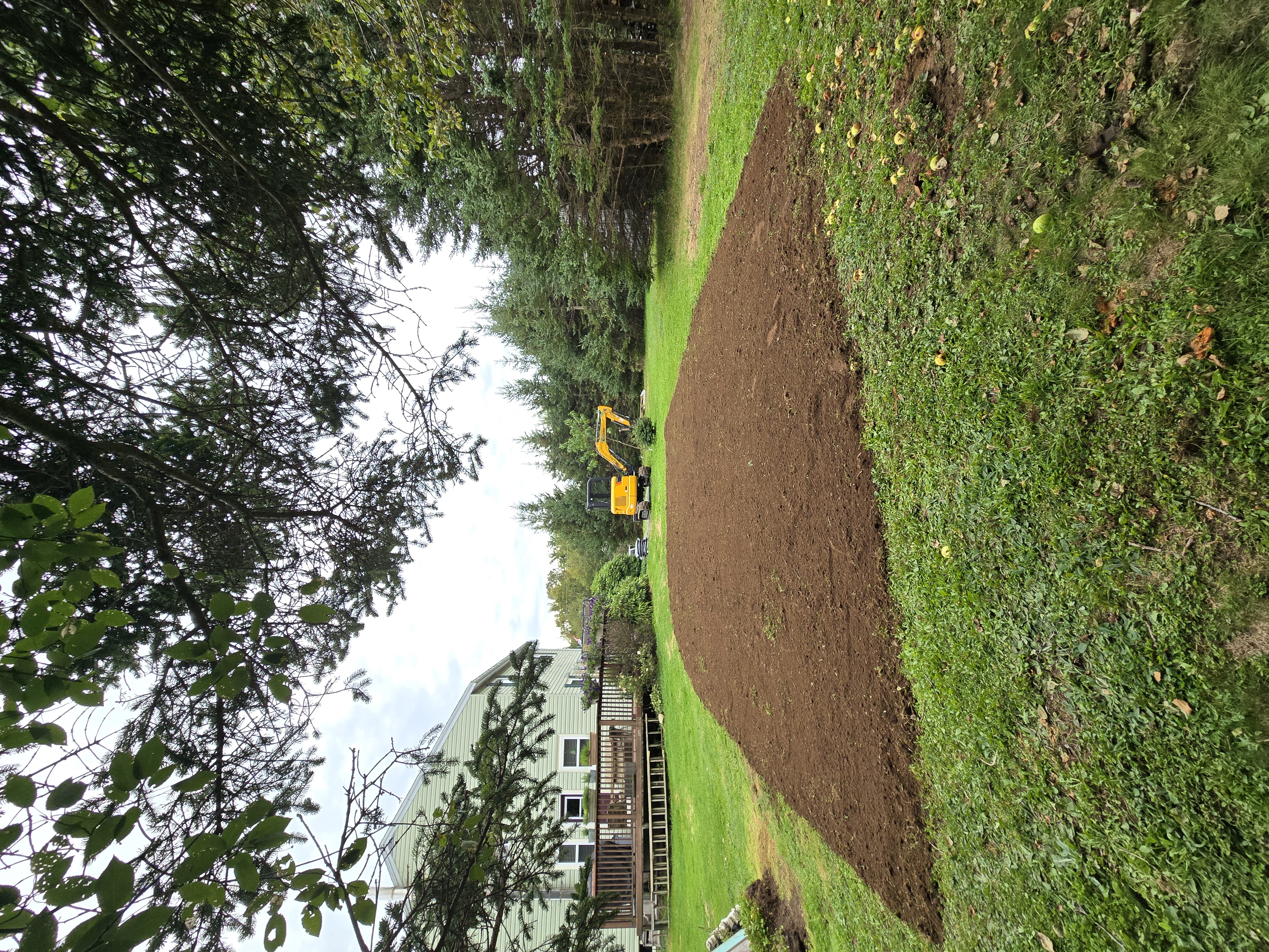 Land clearing and stump removal on expansive property