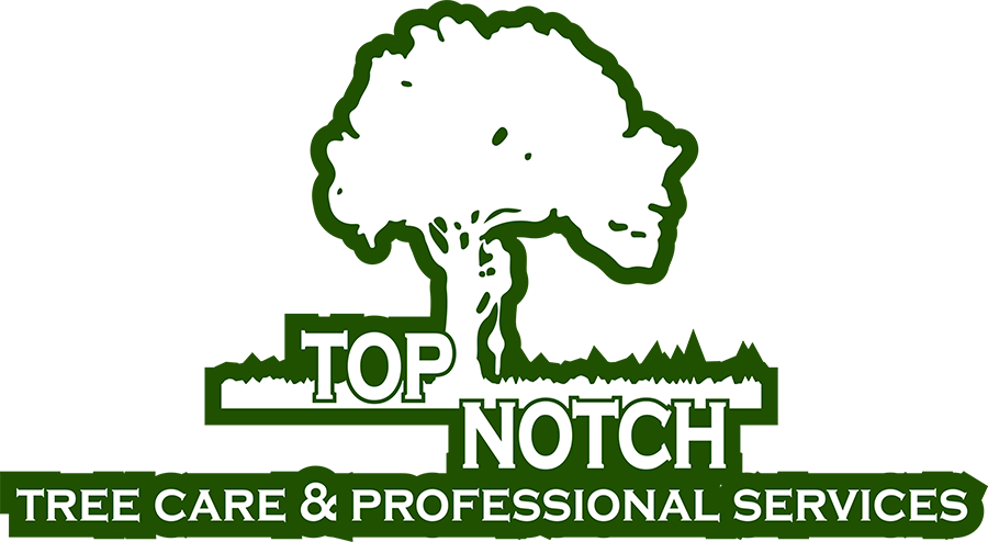 Top Notch Tree Care