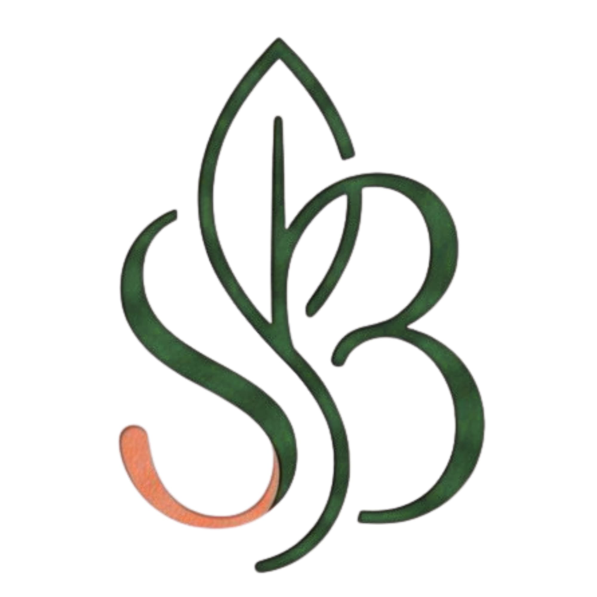 BIBIANA SINERGIA VITAL Logo
