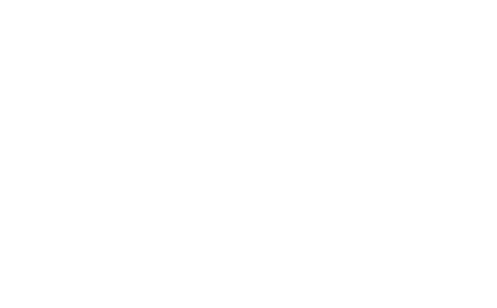 Partner Logo 8