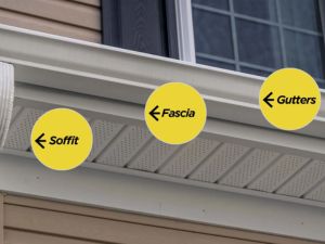 Fascia in Oklahoma City