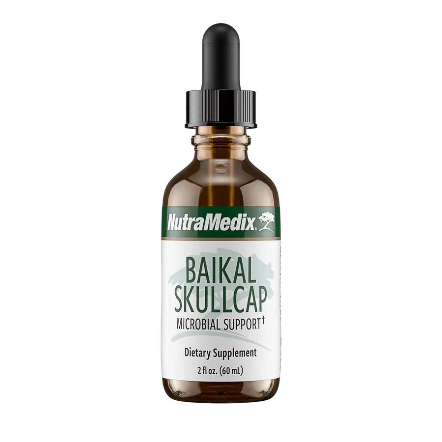 Baikal Skullcap