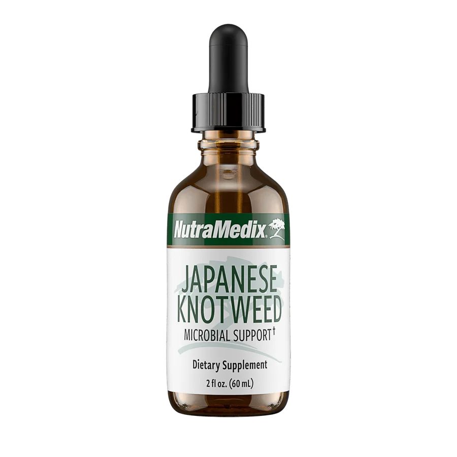 Japanese Knotweed