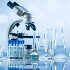 Dimagnesium Malate