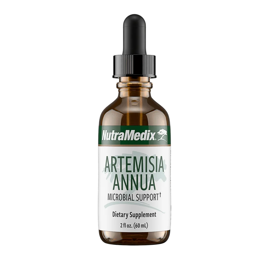 Artemisia Annua