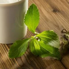 Stevia