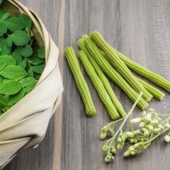 Moringa