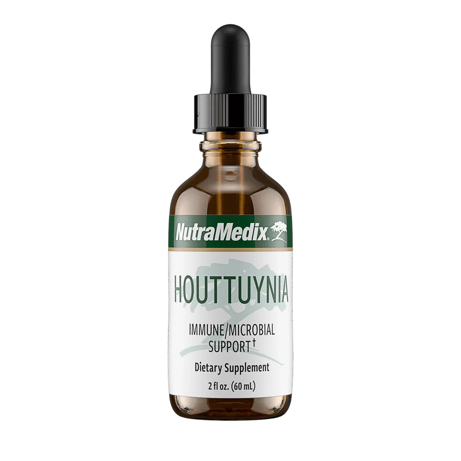 Houttuynia