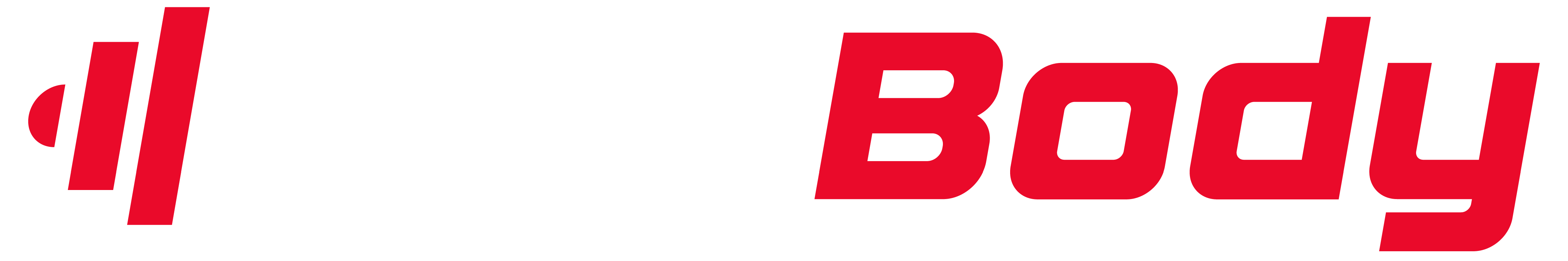 ModBody Training