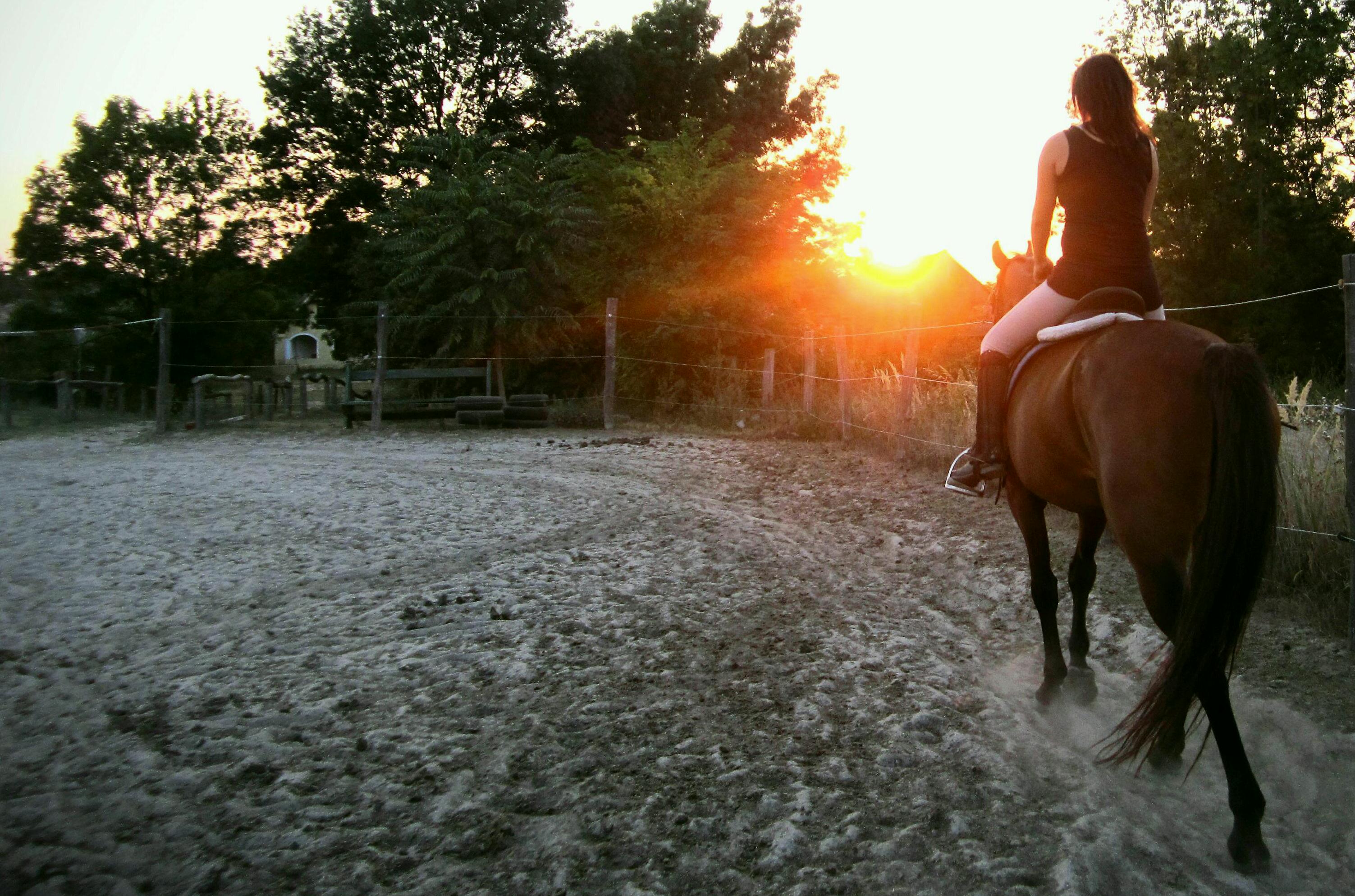 Sandra reitet im Sonnenuntergang