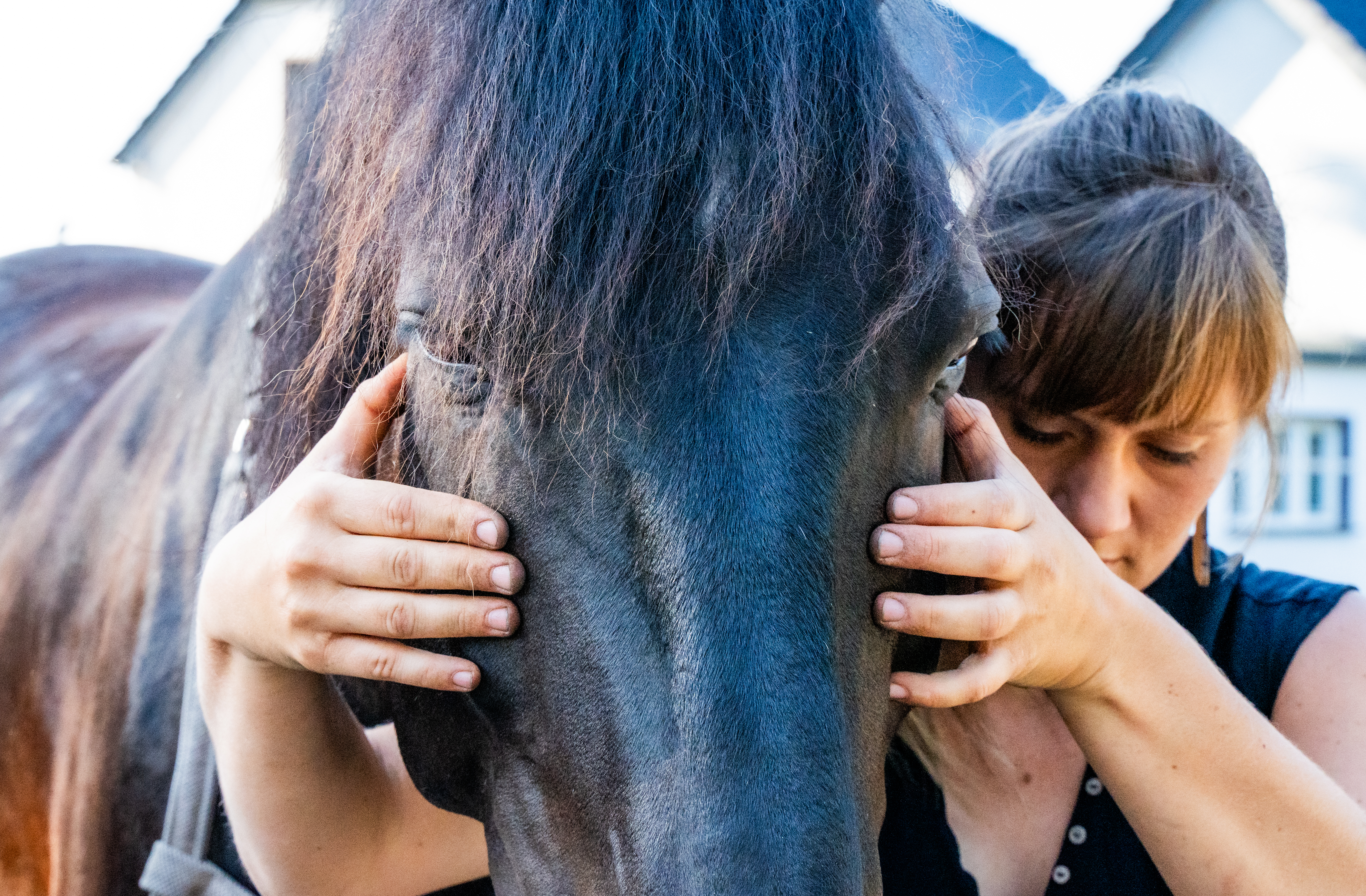 Sandra Kaufer mit Pferd — Zwölf Expeditionen durch den Lebenszyklus