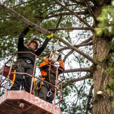 Storm Damage in Keystone