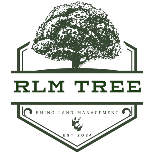 tree care in North Clearwater Beach