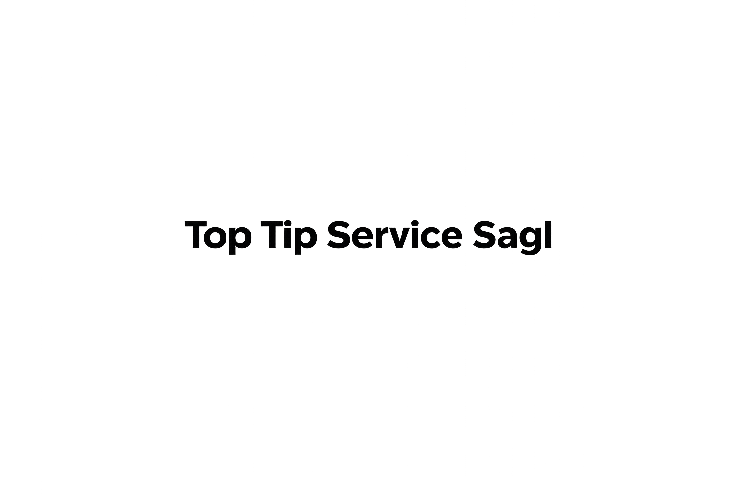Partner 6