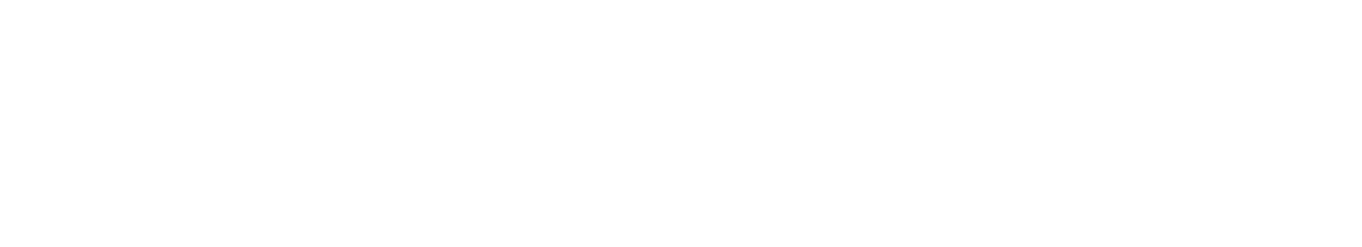 Premier Pavers of Northdale Logo