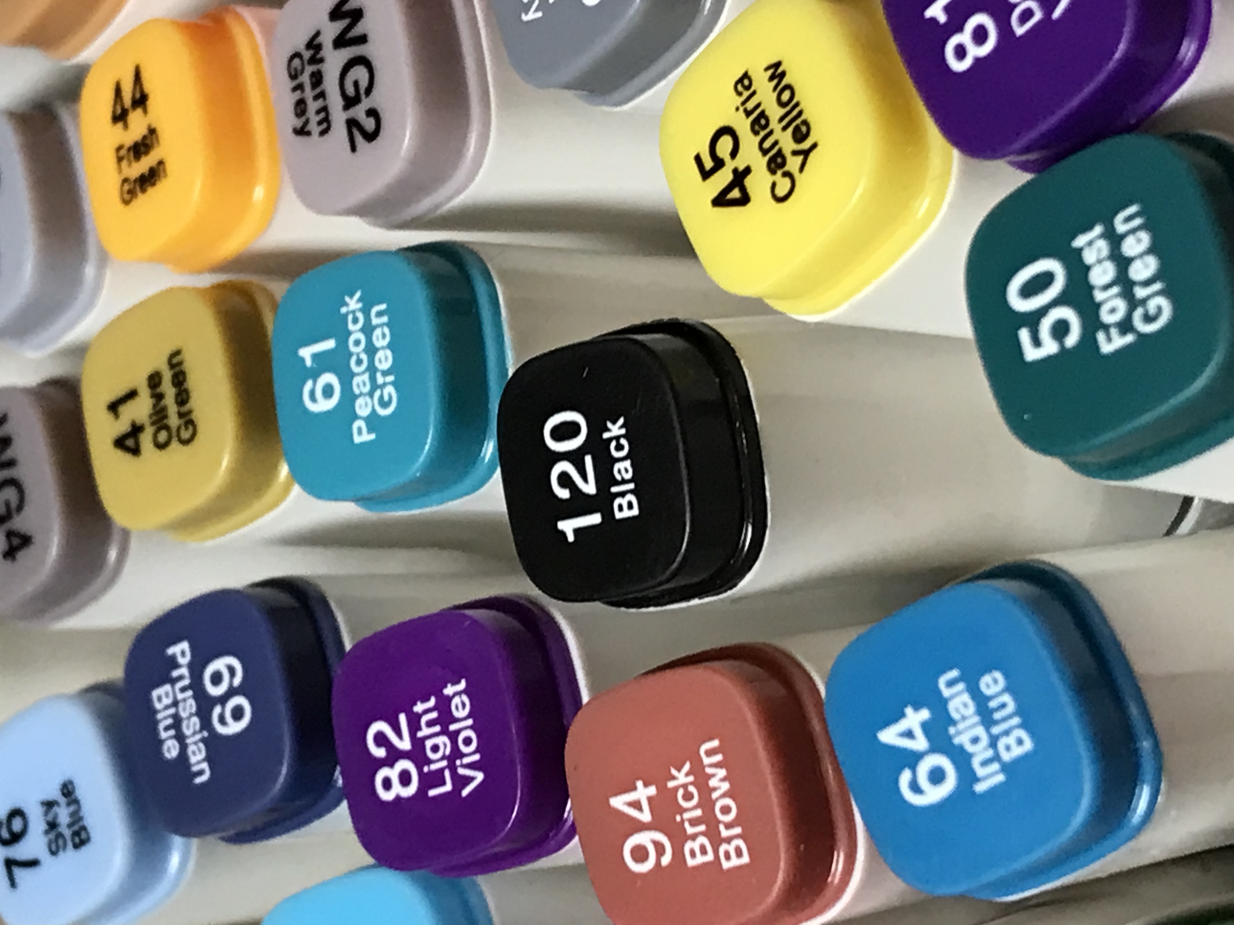 Alcohol Coloring Markers