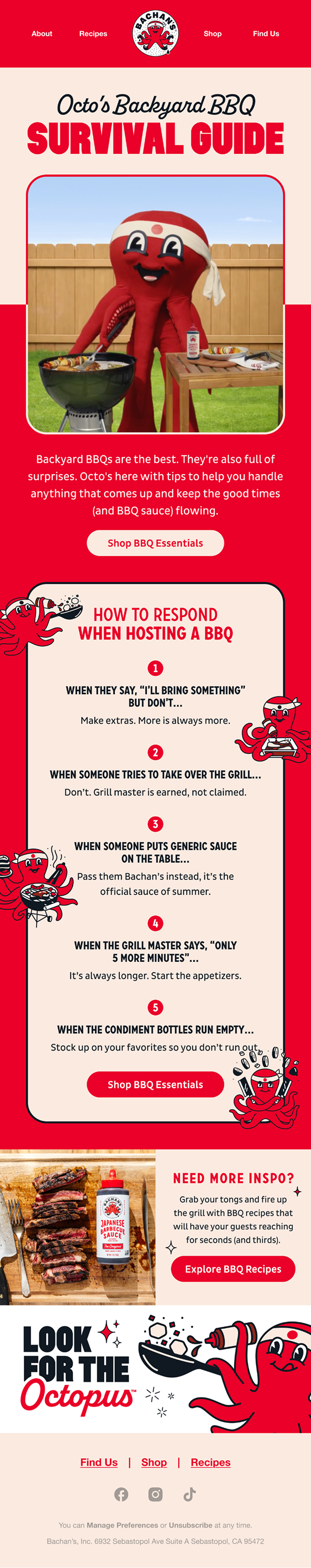 Email Design