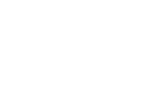Customer Logo