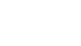 Customer Logo