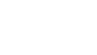 Customer Logo