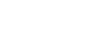 Customer Logo