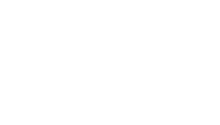 Customer Logo