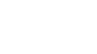 Customer Logo