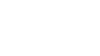 Customer Logo