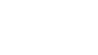 Customer Logo