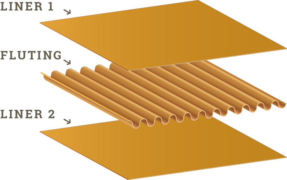 Corrugated fluting medium — the wavy arched layer that gives corrugated board its strength