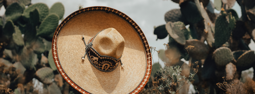 BOSON machinery for Mexico market