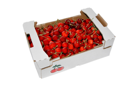 Breathable corrugated packaging for fresh produce shelf-life extension