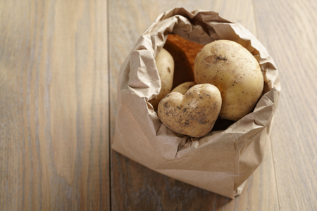 Agricultural kraft paper bags for grains and seeds
