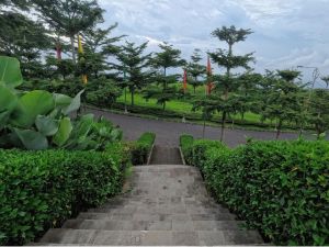 {{ custom_values.service_2 }} in {{custom_values.area_1})