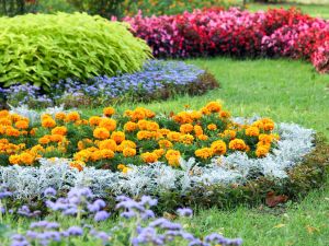 {{ custom_values.service_3 }} in {{custom_values.area_2})