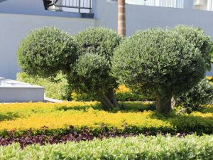 {{ custom_values.service_1 }} in {{custom_values.area_1})