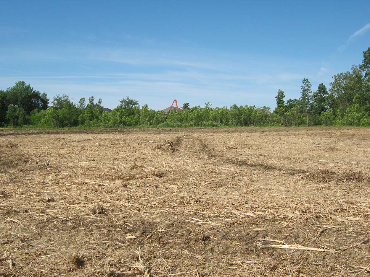 Lot Clearing Near Wake County, North Carolina
