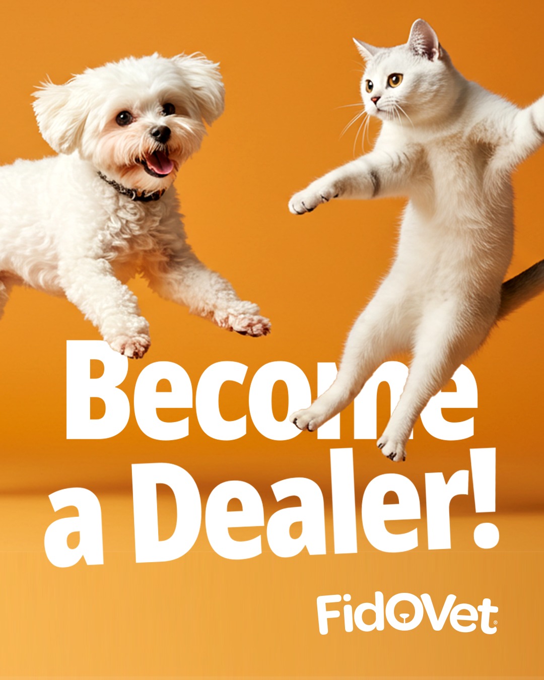 become a dealer become a dealer