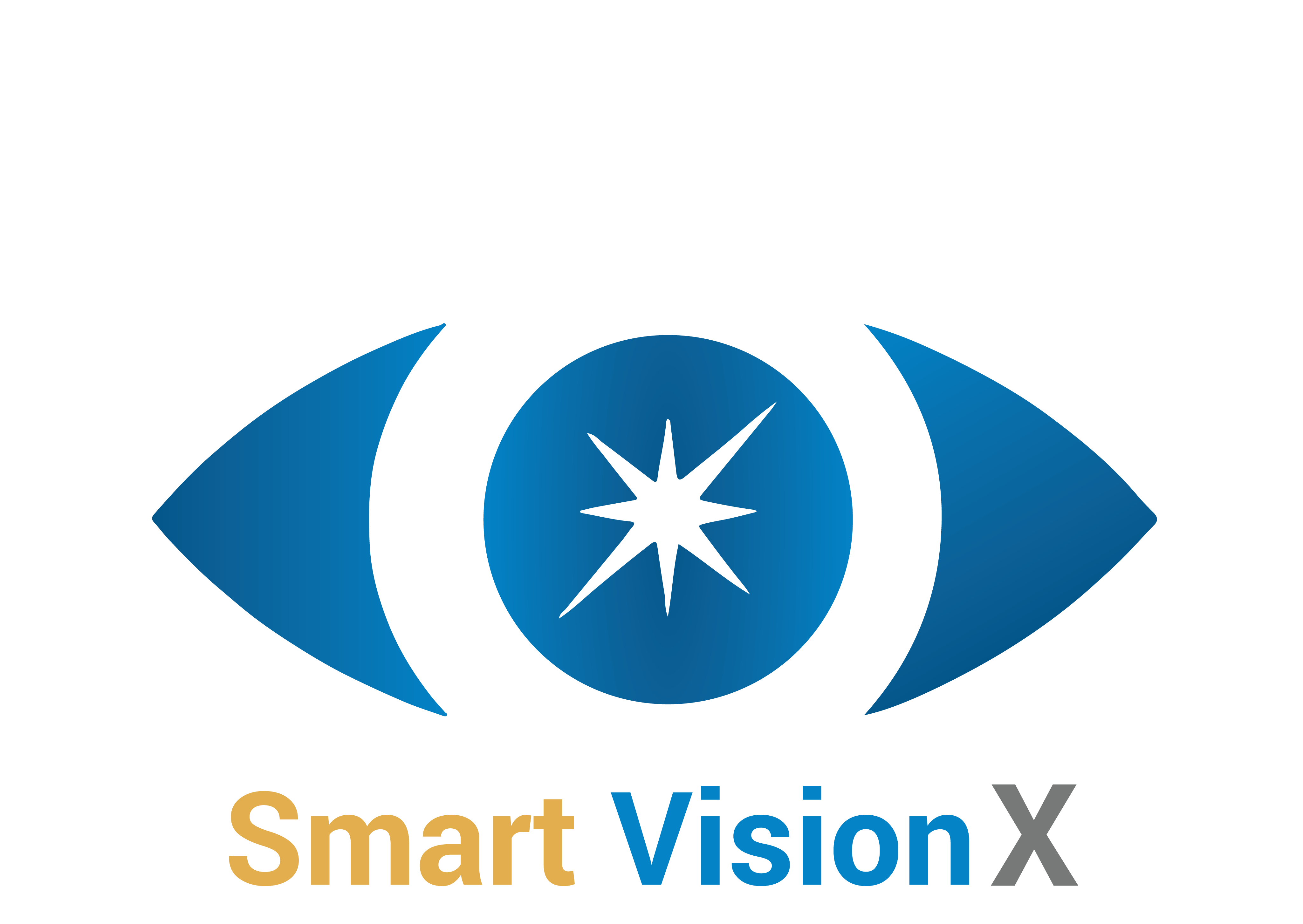 Smart Vision