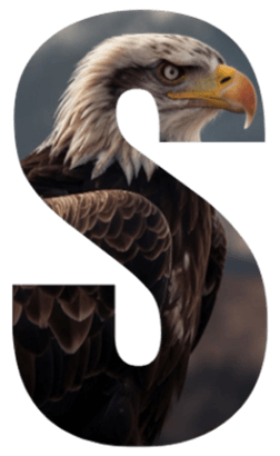 S for Systemized