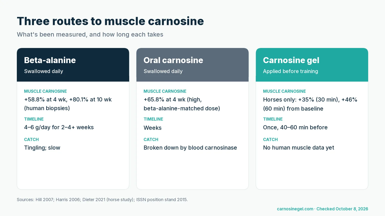 Diagram of three routes to muscle carnosine: beta-alanine capsule converted in muscle over weeks, oral carnosine broken down in the blood, and carnosine gel applied to the skin over the muscle