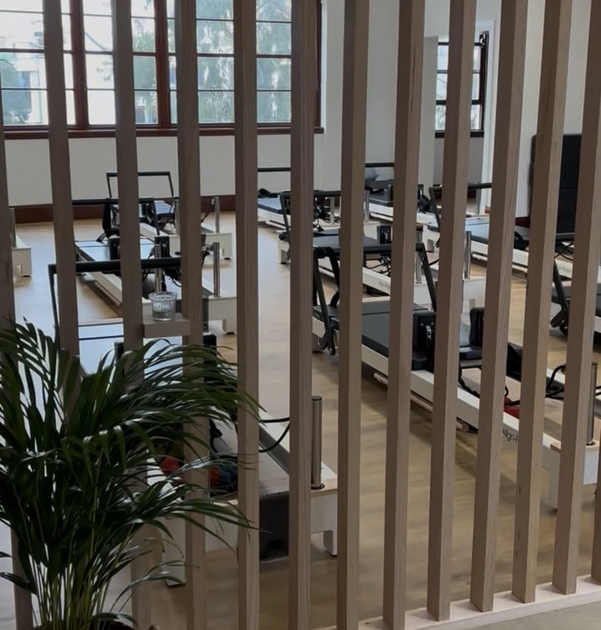 Reformers behind timber screens at This Is Pilates Lane Cove