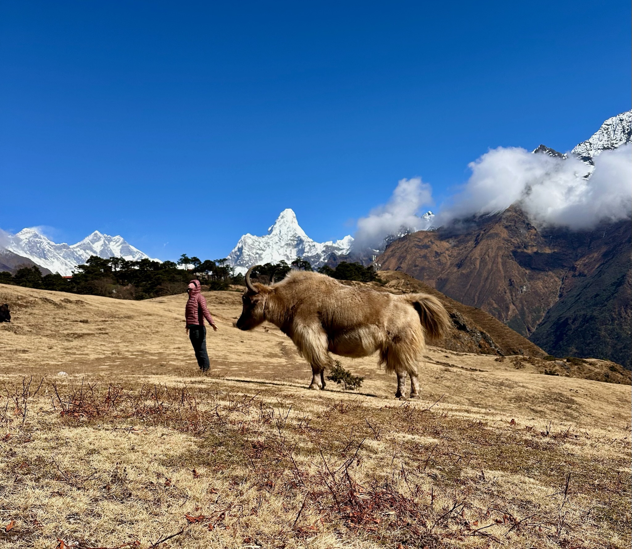 Himalaya Retreat – Wurzeln. Wandeln. Weiten.