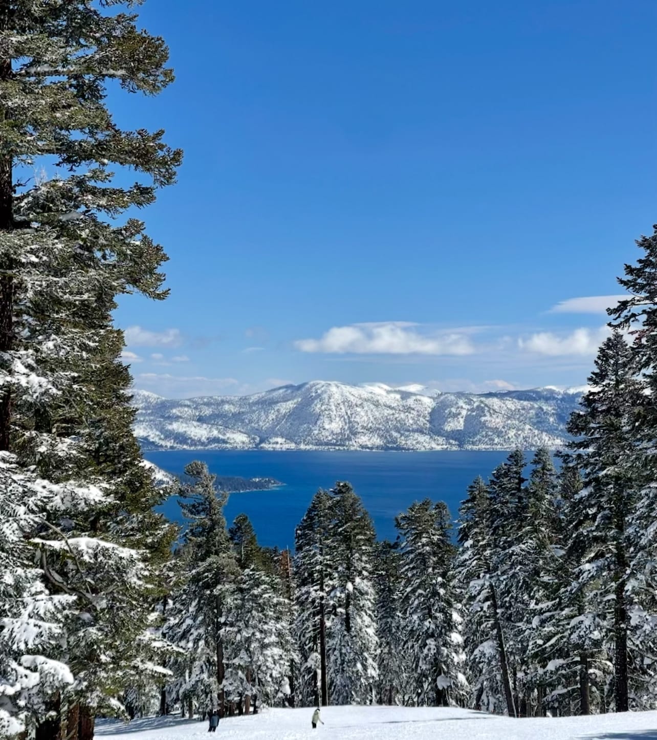 Winter Retreat Lake Tahoe surroundings