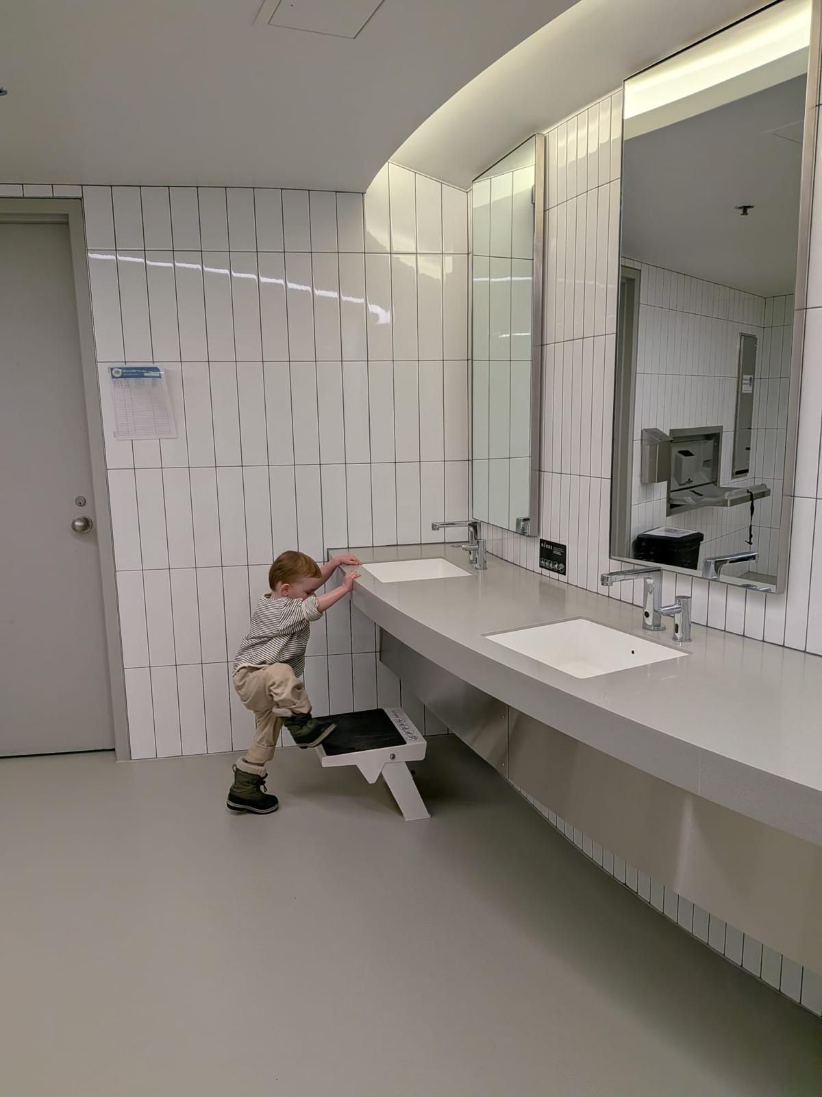 Des marchepieds pour les toilettes de parcs d’attractions et aquatiques