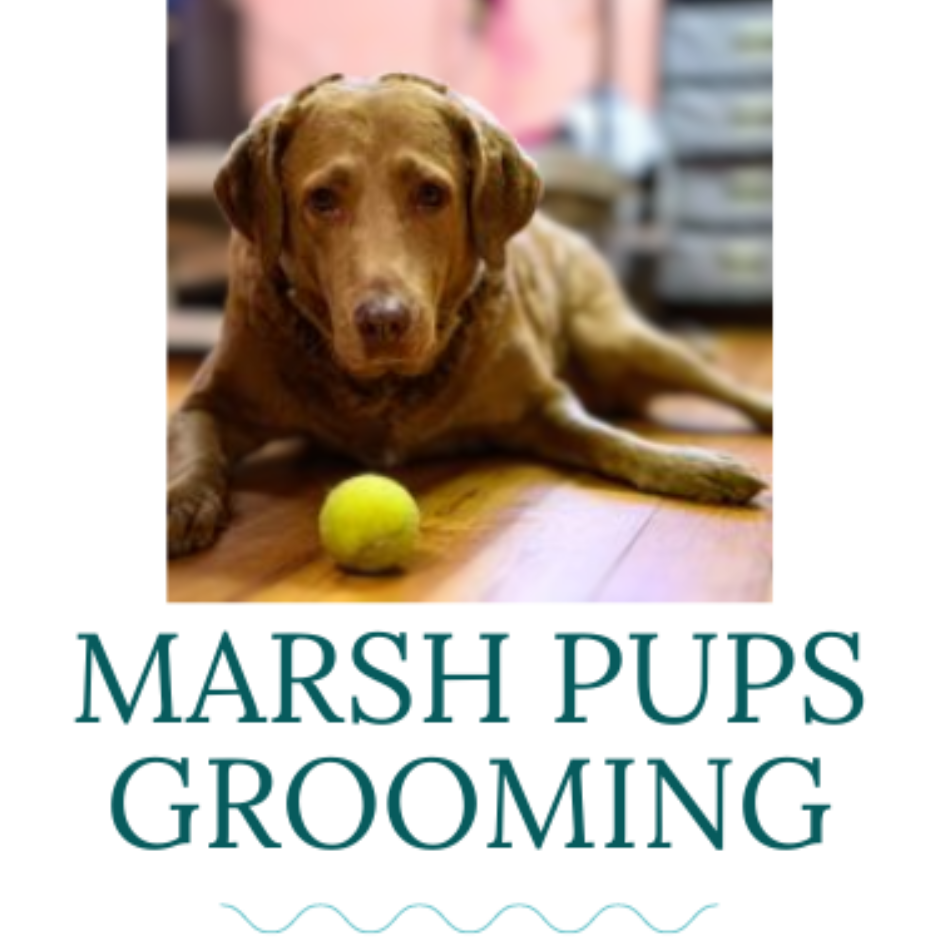 Marsh Pups Grooming Top Pet Groomer in Murrells Inlet, SC. Expert care