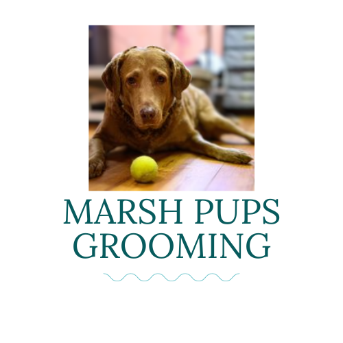 Marsh Pups Grooming - Logo