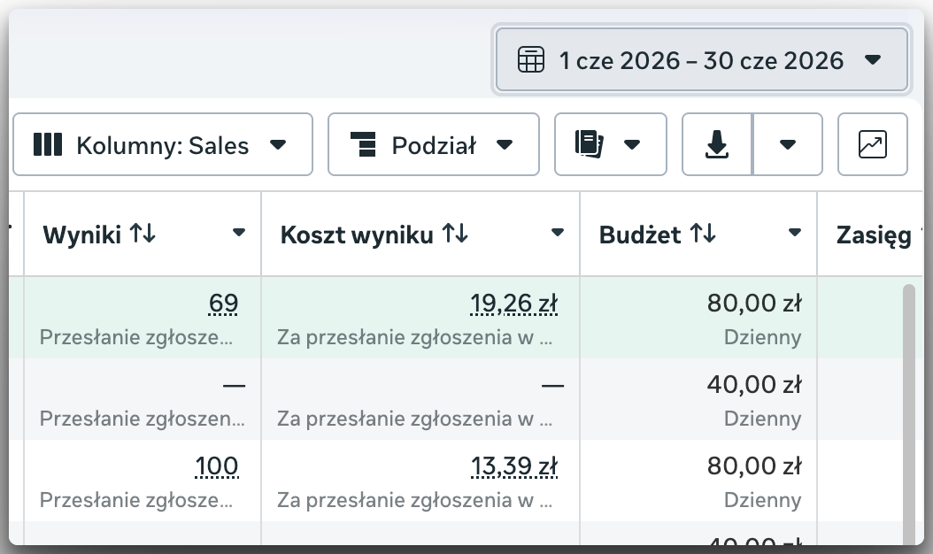 Wynik kampanii z Menedżera Reklam